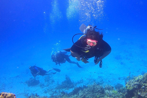 Punta Cana: Catalina Island Scuba Diving Day Trip