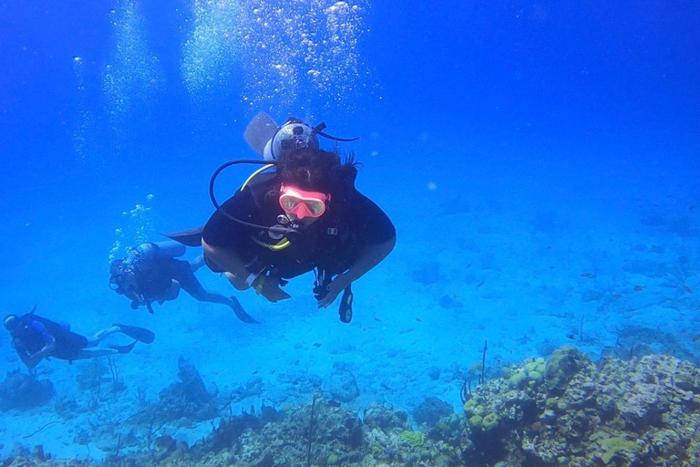 Punta Cana: Catalina Island Scuba Diving Day Trip