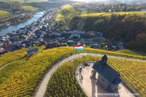 Luxembourg : excursion sur la Moselle avec dégustation de vin et tour en bateau