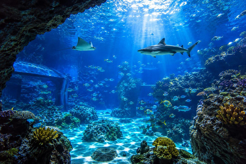 Mexico City: Acuario Michin Entry Ticket With Keeper Talks