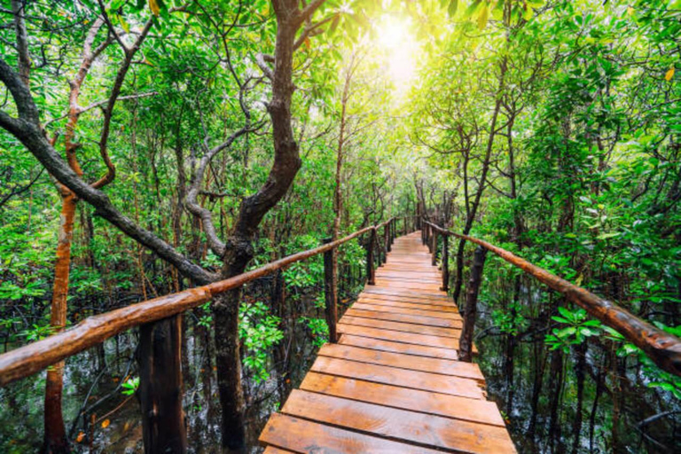 PARQUE NACIONAL DEL BOSQUE DE JOZANI Y GRANJA DE ESPECIAS