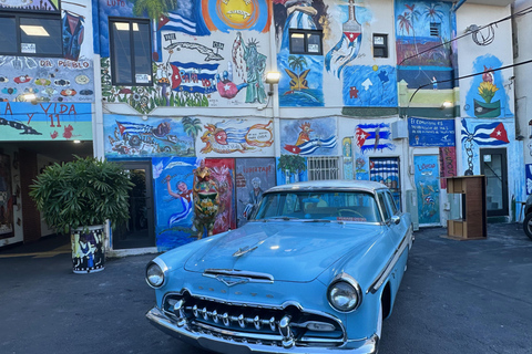 Miami Sightseeing Cruise & City Tour plus water Shuttle South Beach Start at 11:30am