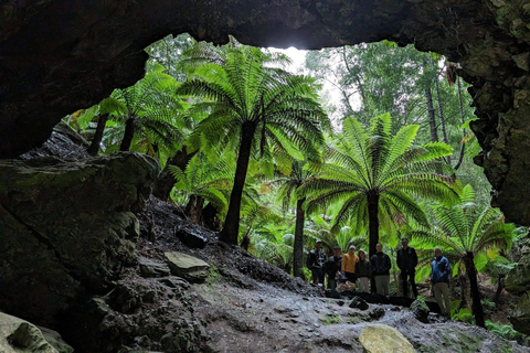 The Ultimate 10 day tour of Tasmania Motel Double