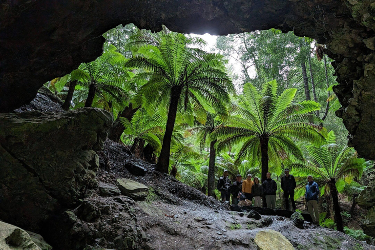 Tasmanië - De ultieme 10-daagse rondreisMotel Dubbel