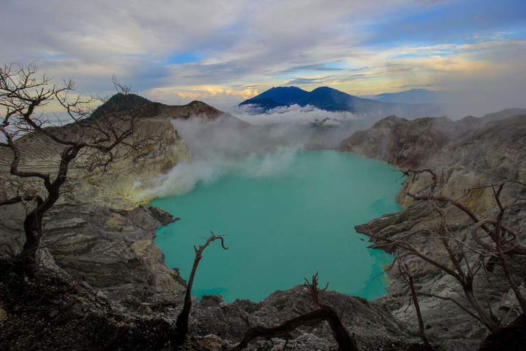 Banyuwangi: Tour del vulcano Ijen Blue Fire e dell&#039;alba