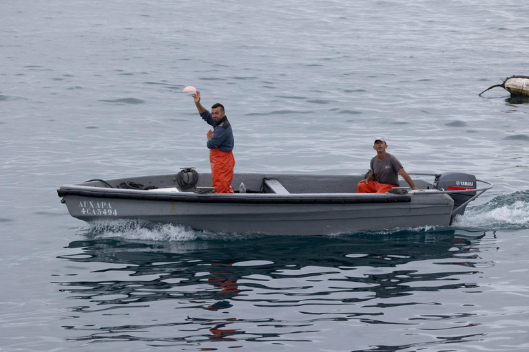 Barbate : Tour en bateau à l&#039;Almadraba de Conil (pêche au thon)