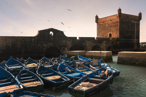 Marrakech: Guided Day Trip to Essaouira with Co-Op Visit