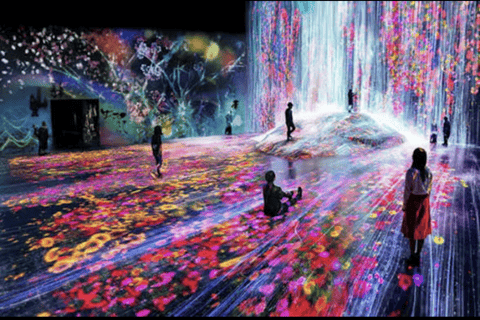 Tokyo: Private City Tour with Tokyo TeamLab Planets.