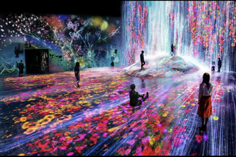 Tokyo: Private City Tour with Tokyo TeamLab Planets.