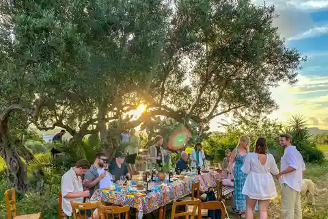Alcamo: Natural Wine & Olive Oil Tasting - Sicily