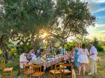 Alcamo : Dégustation de vin et d'huile d'olive naturels - Sicile
