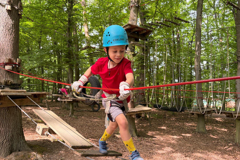 Kelkheim: Outdoor climbing experience in the forest ropes course with circuit and zip lines