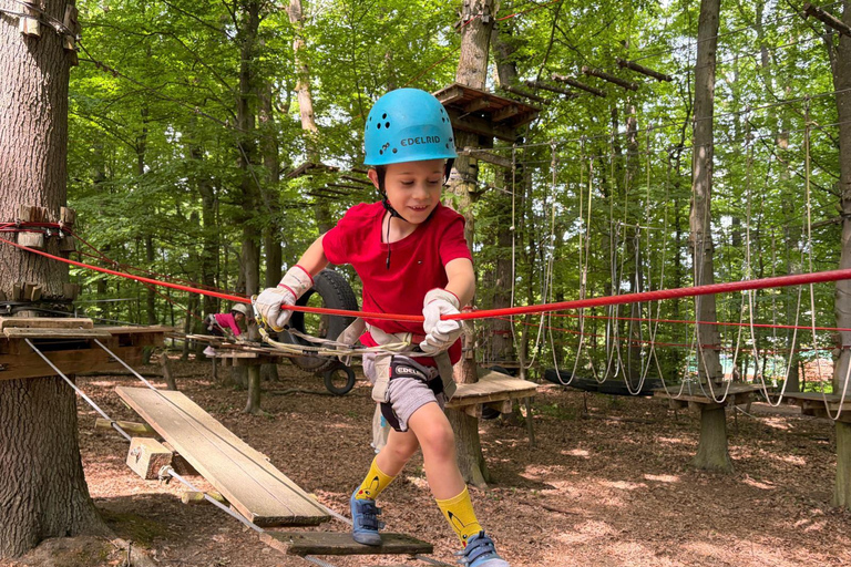 Kelkheim: Outdoor climbing experience in the forest ropes course with circuit and zip lines