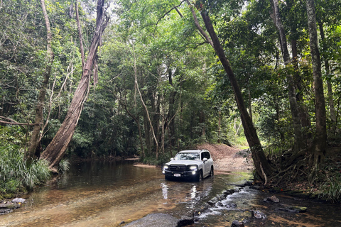 Cairns: Half-Day Premium 4WD Rainforest & Waterfall Tour Half Day Tour