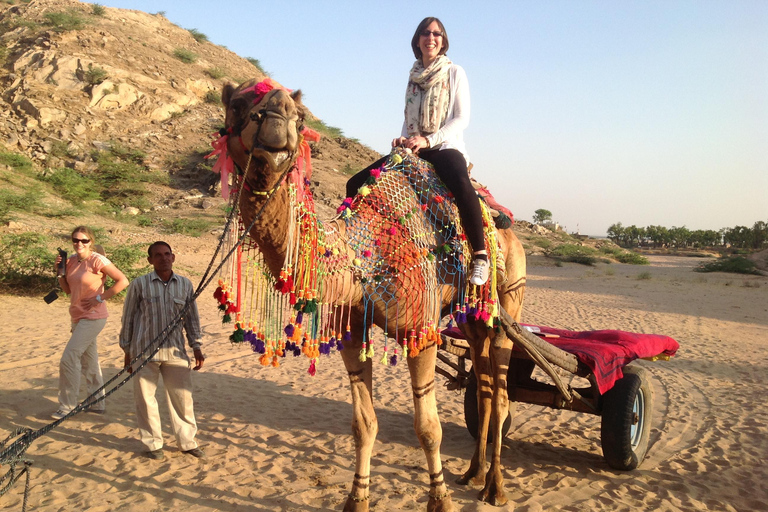 Jaipur: Stammesdörfer, Seen und Sanddünen Tagestour