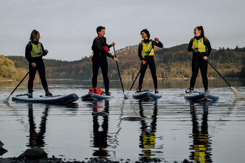 From Dublin: Stand Up Paddleboarding Experience