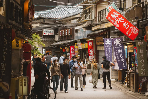 Osaka/Kyoto; Kyoto and Nara customizable Day Tour with Guide