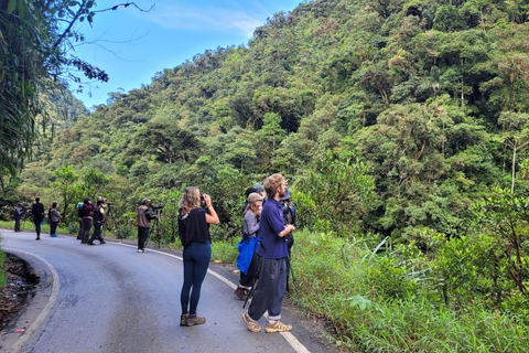 VIAJE A LA SELVA DEL PARQUE MANU 3D/2N