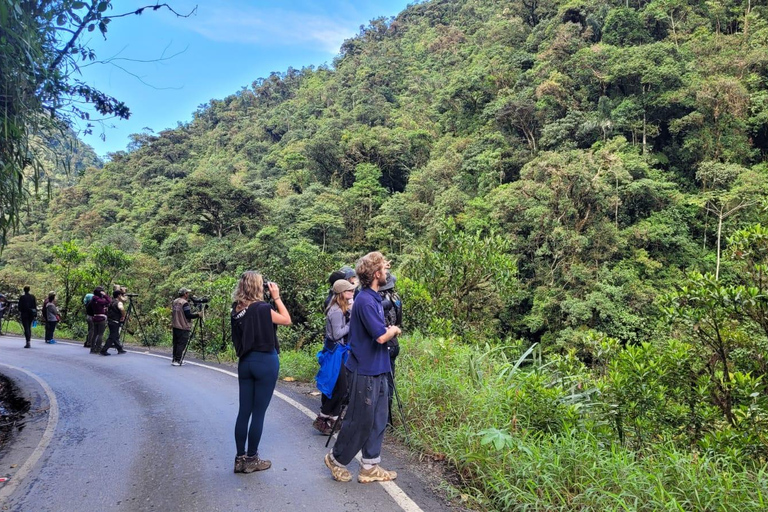 VIAGGIO NELLA GIUNGLA DEL PARCO DI MANU 3D/2N