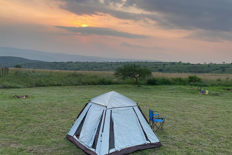 De Big5 Game Drive & Kamperen op de hoogste top van Akagera