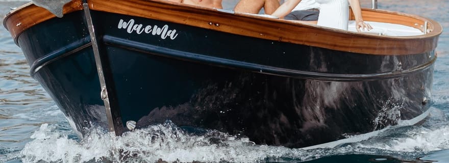 Portofino Riviera et Cinque Terre Tour en bateau privé