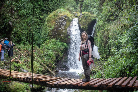 UGANDA RWENZORI — WATERFALLS &amp; MONTANE ALLURE | 6-Day Hike