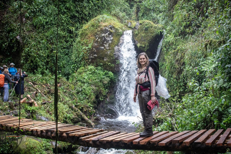 UGANDA RWENZORI — WATERFALLS & MONTANE ALLURE | 6-Day Hike