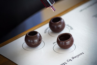 Tour & Wine and Chocolate Sphere Tasting (Saint-Emilion)