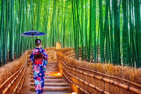 Kyoto Full-Day Customizable Private Tour with English Guide Luxury Toyota Land Cruiser Prado