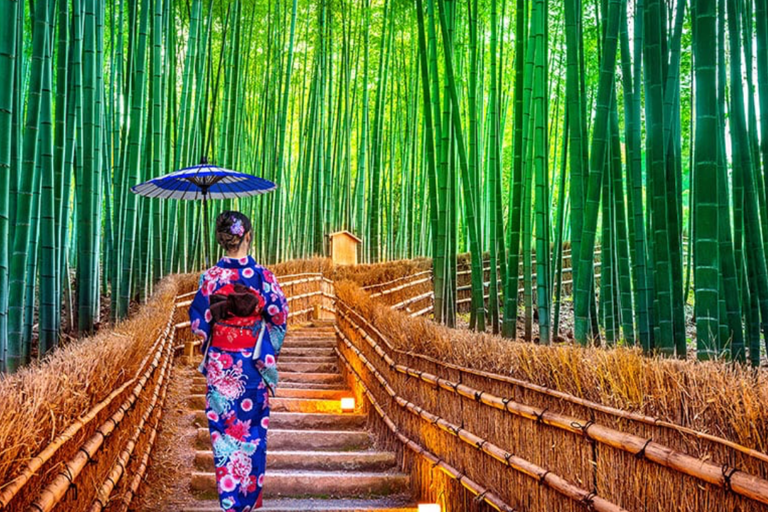 Kyoto Full-Day Customizable Private Tour with English Guide Luxury Toyota Land Cruiser Prado