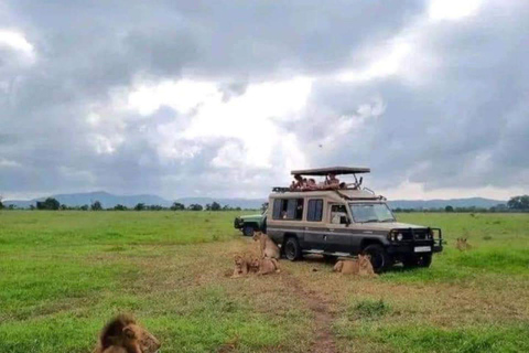 Sansibar: Safari Tagestour von Sansibar nach Mikumi