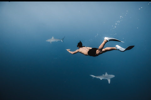 Oahu: Cage-Free Shark Diving Adventure Oahu: Cage-Free Shark Diving Adventure with Photos