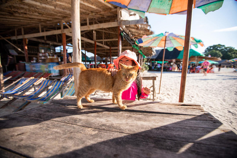 Phuket : Aventure d&#039;une demi-journée en bateau à grande vitesse dans les îles Khai