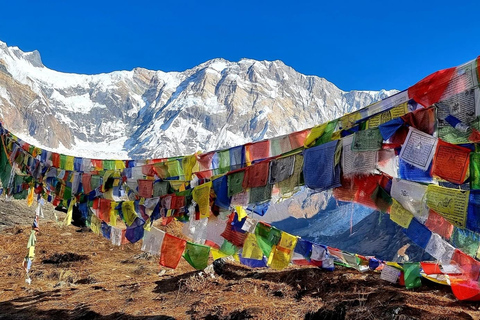 Pokhara: trekking guidato del Campo Base dell&#039;Annapurna di 7 giorniPokhara: pacchetto completo per l&#039;epico trekking di 7 giorni al campo base dell&#039;Annapurna