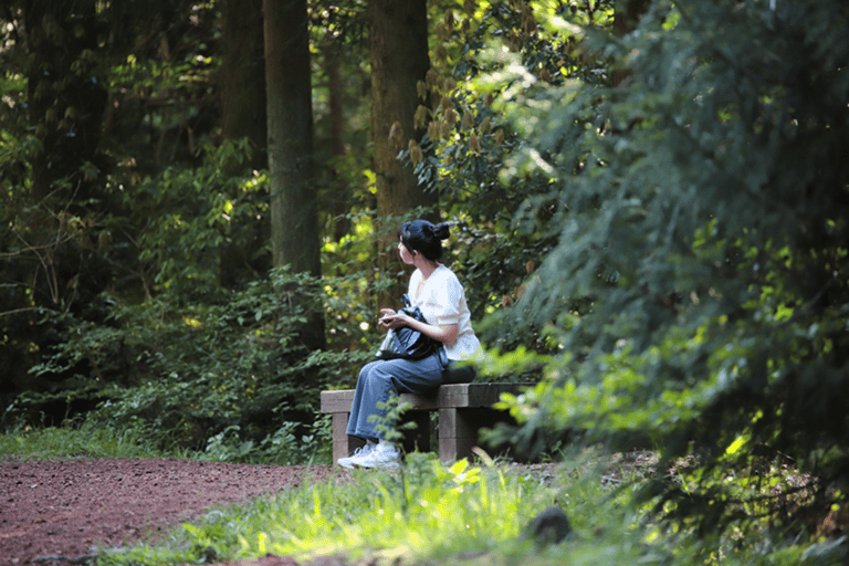 Jeju: Eastern UNESCO Sites Tour with Hotel Pickup