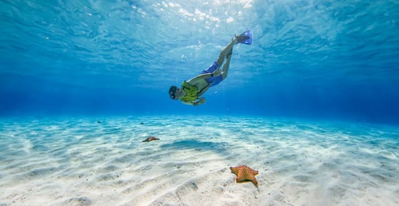 Cozumel: Catamaran, El Cielo Bay & Palancar Reef with Lunch