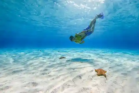 Cozumel: Dia na Baía El Cielo e na Praia Mia