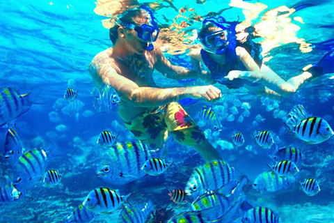 Snorkling på Bali: Snorkling vid Blå lagunen och Tanjung Jepun med lunch