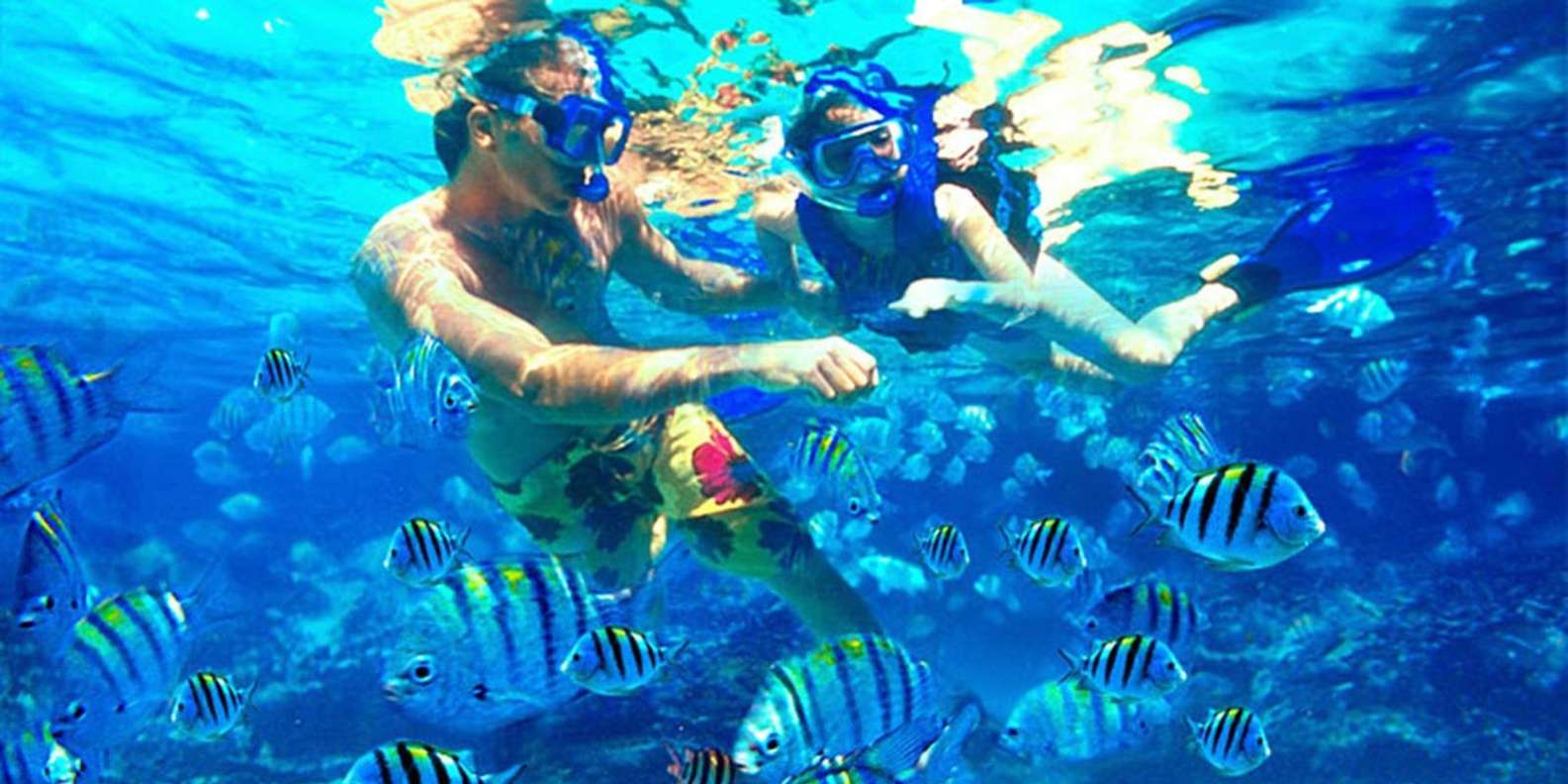 Bali: Blue Lagoon Snorkeling Inclusive of Lunch & Transport
