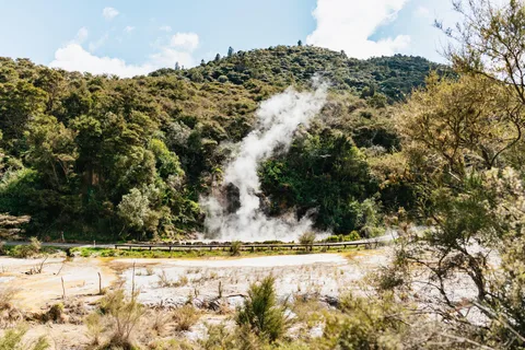 Billet pour la vallée volcanique de Waimangu et promenade guidée
