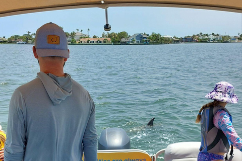 Cocoa Beach: Dolphin & Manatee Small Group Eco Boat Tour
