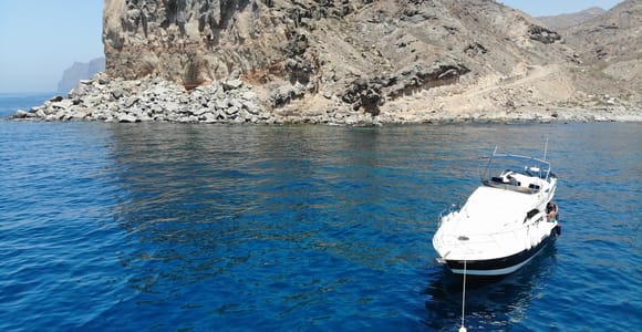 Mogán: Dolphin Watching Boat Trip with Swim Stop