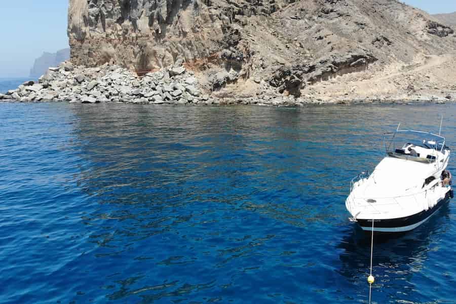 Mogan: Delfinbeobachtungstour mit Badestopp. Foto: GetYourGuide