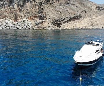 Puerto de Mogan: Boat trip to see dolphins and snorkelling