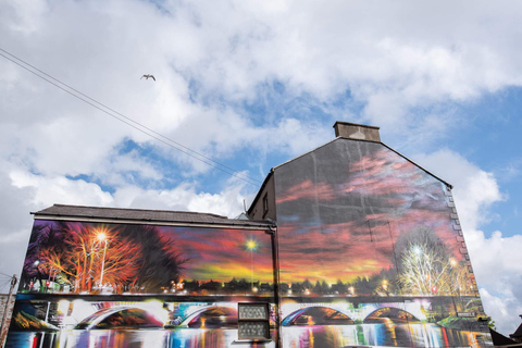 Jednodniowa wycieczka do Belfastu z murami pokoju, Titanikiem i irlandzką whiskey