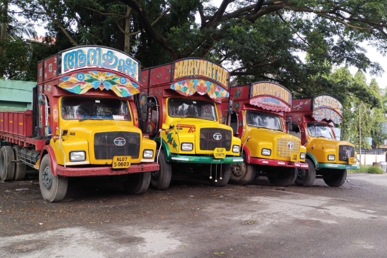 Excursiones en tierra en Kochi: Visita a la ciudad: Remanso: Excursión en Tuk TukExcursión a tierra Kochi: India: Aguas estancadas de Alappuzha