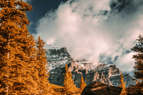 Banff Fall Tour: Lakes, Mountains, Falls & Autumn Views