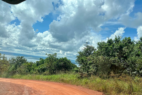 Vanuit Kigali: 1 dag Akagera safari en boottocht. Alles inclusief