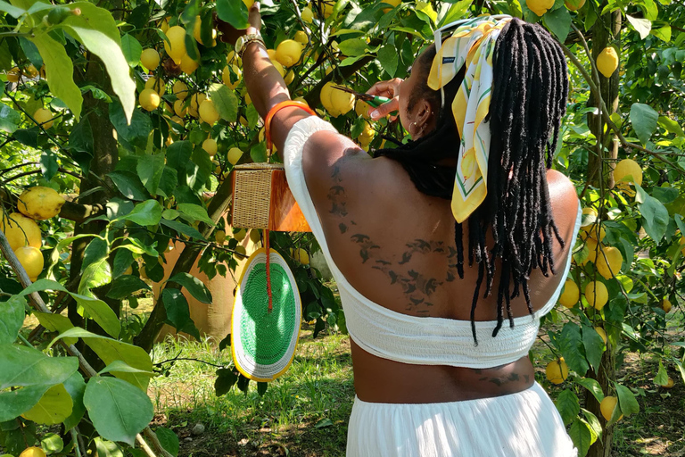Sorrento: Lemon Picking & Tasting Tour Lemon Picking Experience at Giovanni's Farm