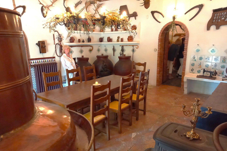 Au départ d&#039;Alicante : visite guidée d&#039;une ancienne cave. Dégustation incluse.